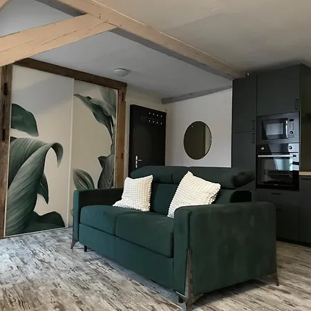Apartment Le Cosy - Centre-ville Selestat