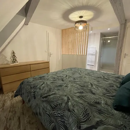 Apartment Le Cosy - Centre-ville Selestat