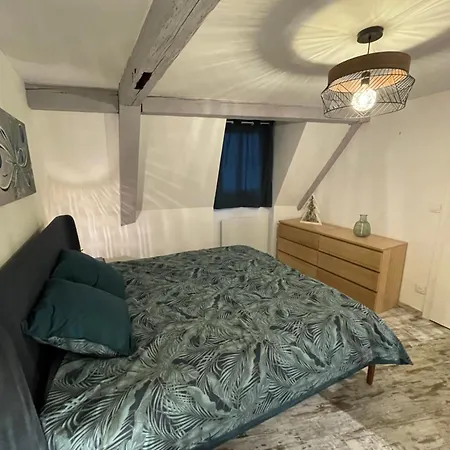 Le Cosy - Centre-ville Apartment *