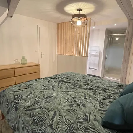 Apartment Le Cosy - Centre-ville Selestat