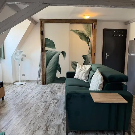 Apartmán Le Cosy - Centre-ville